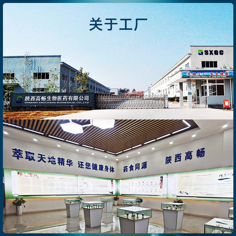 Water-soluble Wild Ginseng Extract 10:1 Herbal Powder Food Ingredient From Mainland China