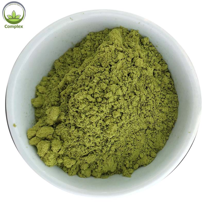 Supply High Quality Food Grade Natural Wormwood Leaf Extract Powder