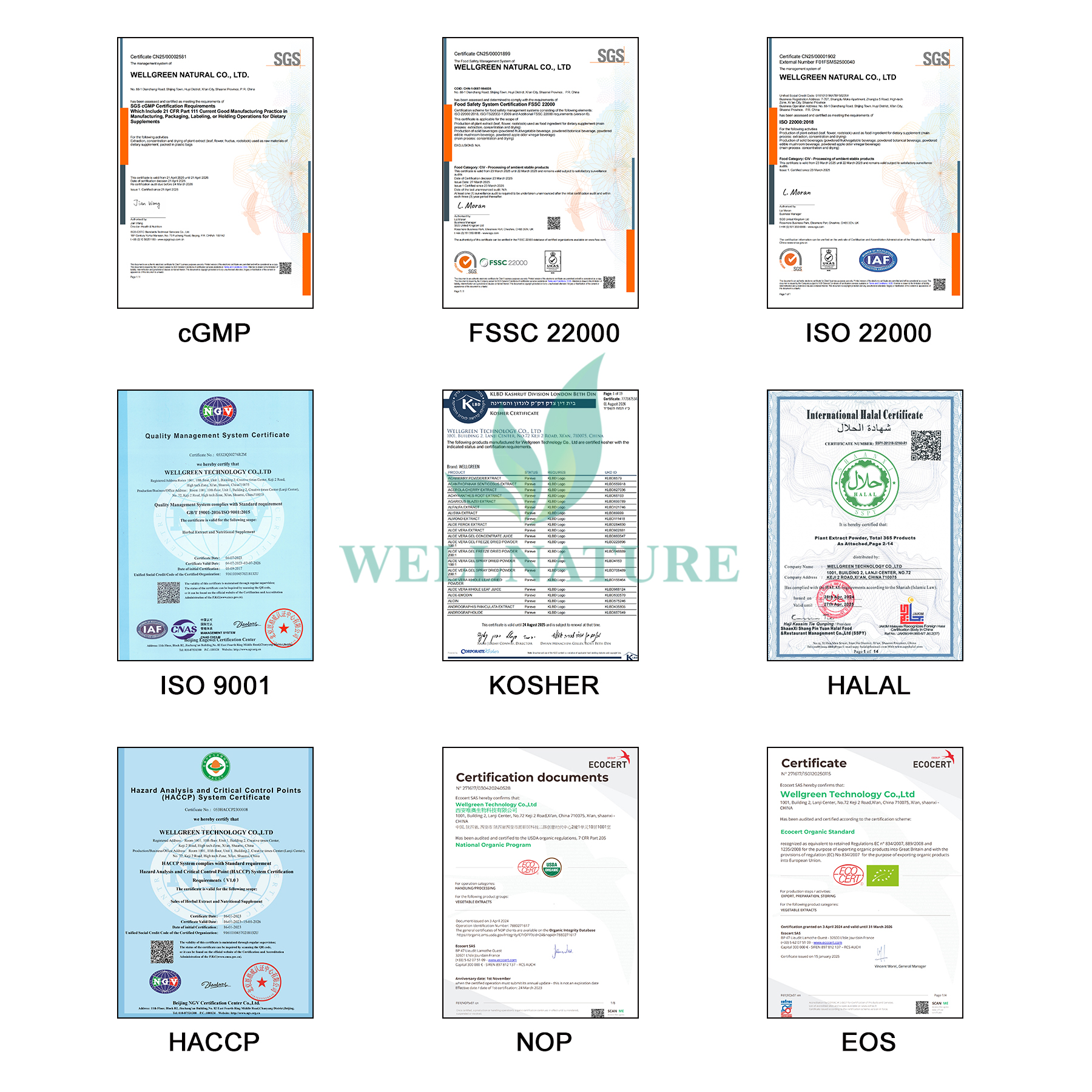Factory Wholesale Supply Natural Mushroom Extract 10%-50% Active Hexose Correlated Compound Powder Ahcc