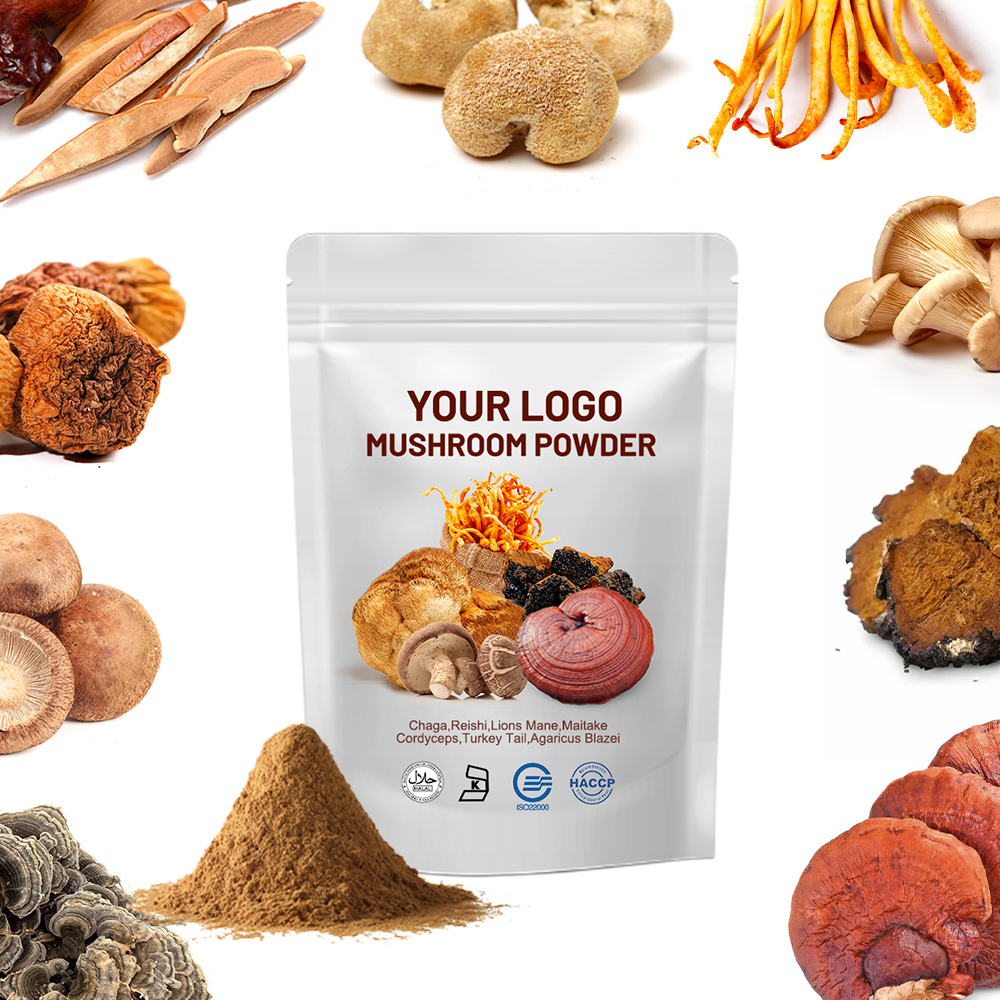 High Quality Herbal Mushroom Extract Powder OEM Wholesale Price Lions Mane Reishi Chaga Wuling Whole Fruit Body