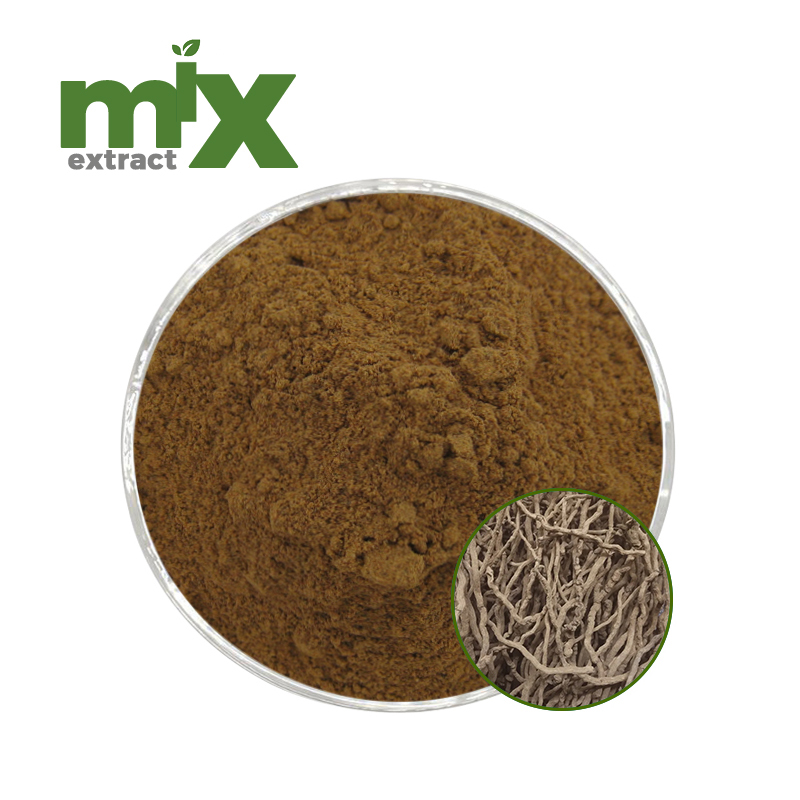 Kava Root Extract Powder Piper Methysticum Root Extract 4:1-100:1 Natural Plant Extract Raw Material Bulk Supply OEM Supplier