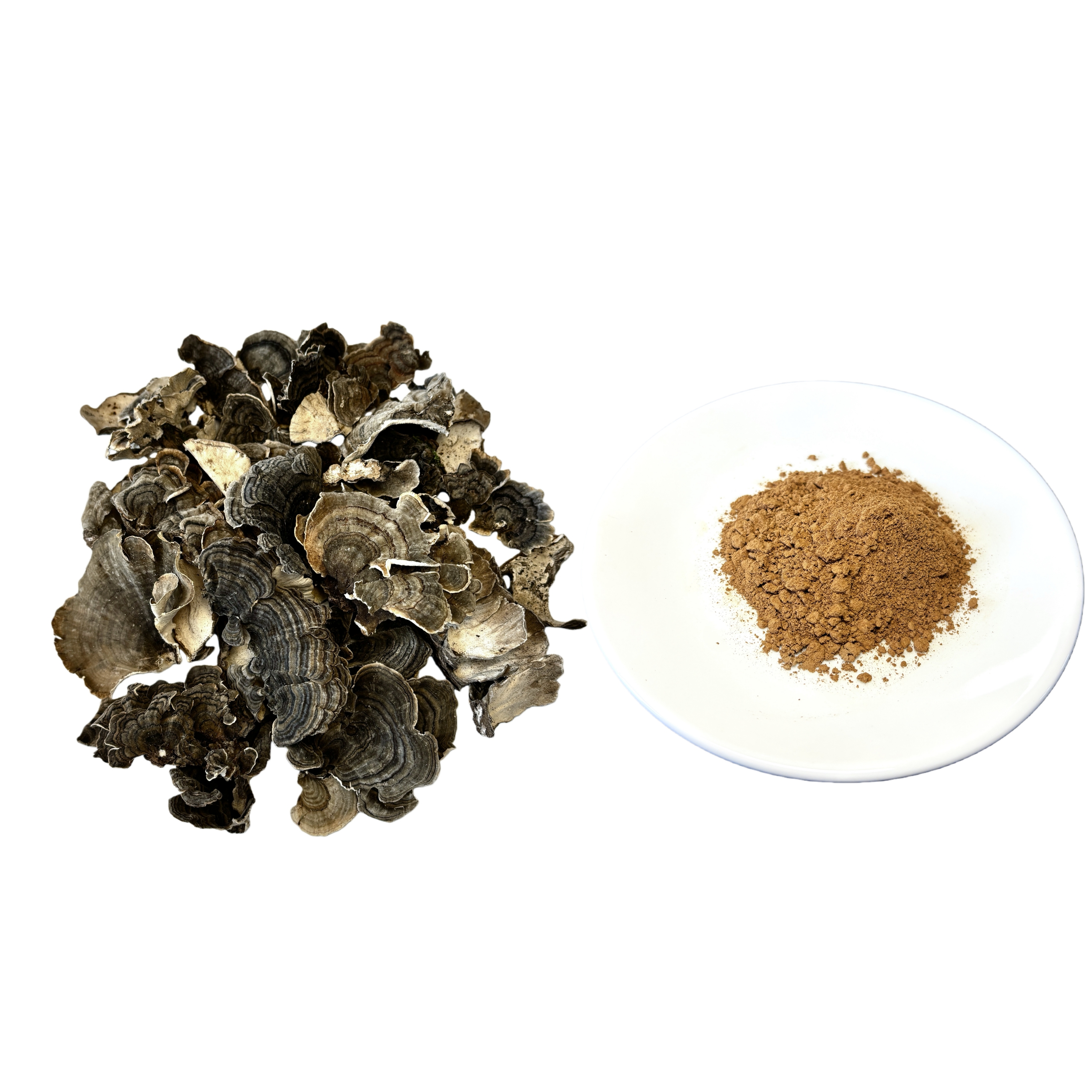 100% Water Soluble Turkey Tail Mushroom Extract Powder 30% Polysaccharides