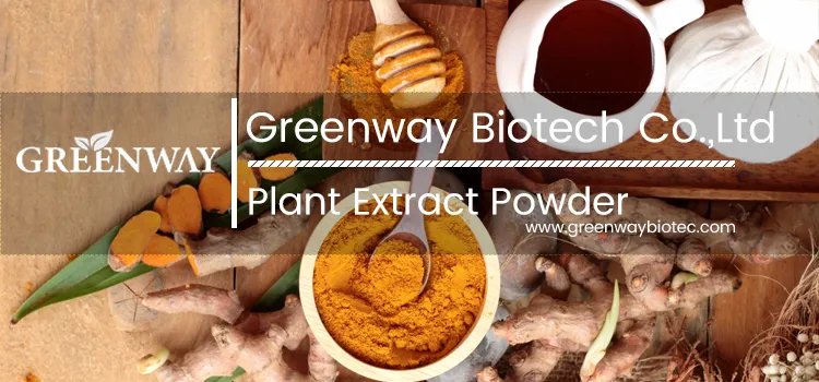 Bacopa Monnieri Extract Powder