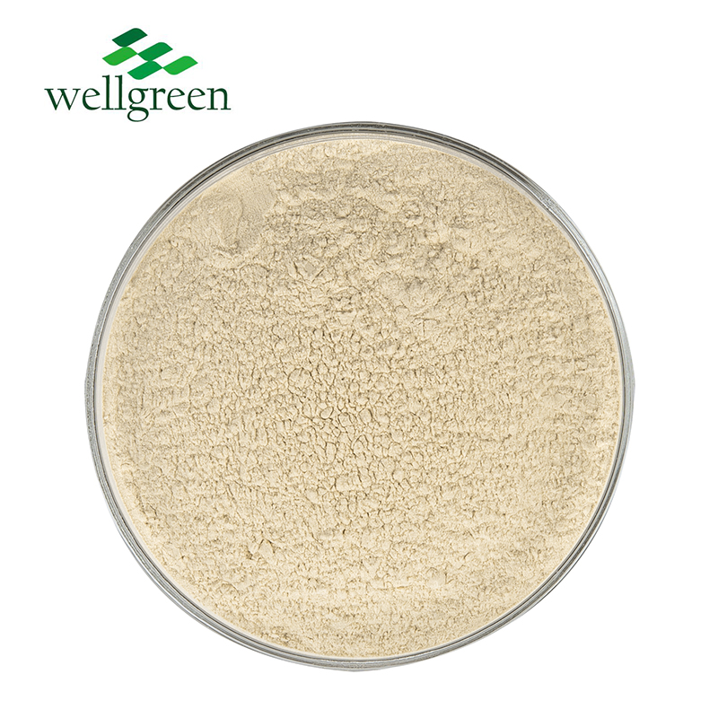 10% 50% Rosemary Leaf Extract Powder Ursolic Acid Food Grade Rosemary Extract