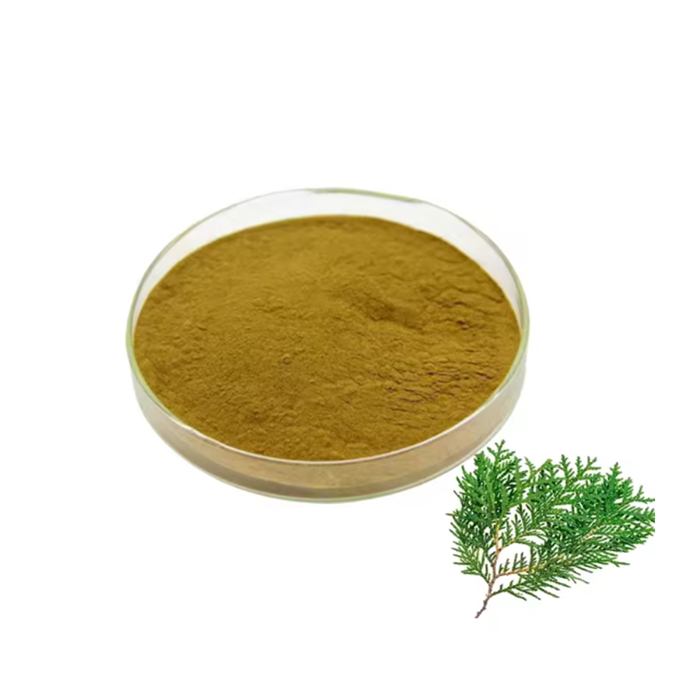 Hunan Huakang Natural Plant Hair Growth Active Ingredient Platycladus Orientalis Leaf Extract Powder