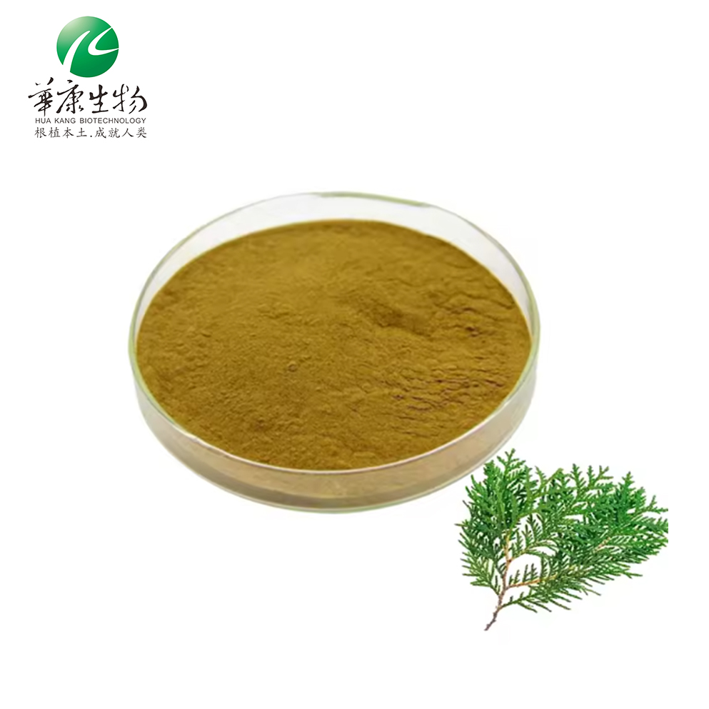 Hunan Huakang Natural Plant Hair Growth Active Ingredient Platycladus Orientalis Leaf Extract Powder