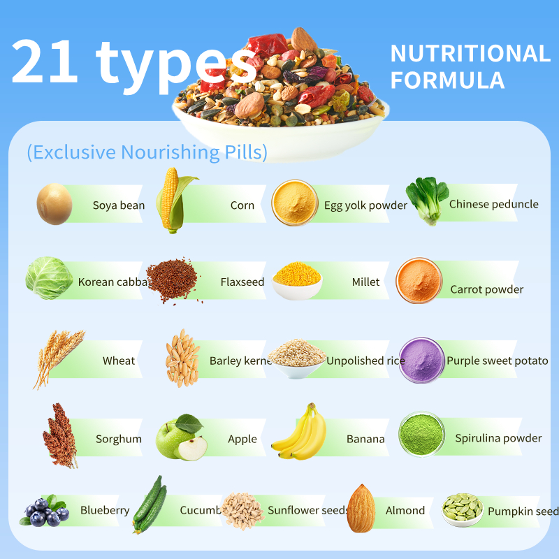 YEE Factory Wholesale Parrot Food Fruit Seed Mix Non Additive Nutrition Feed For Cockatiel Lovebird Budgie