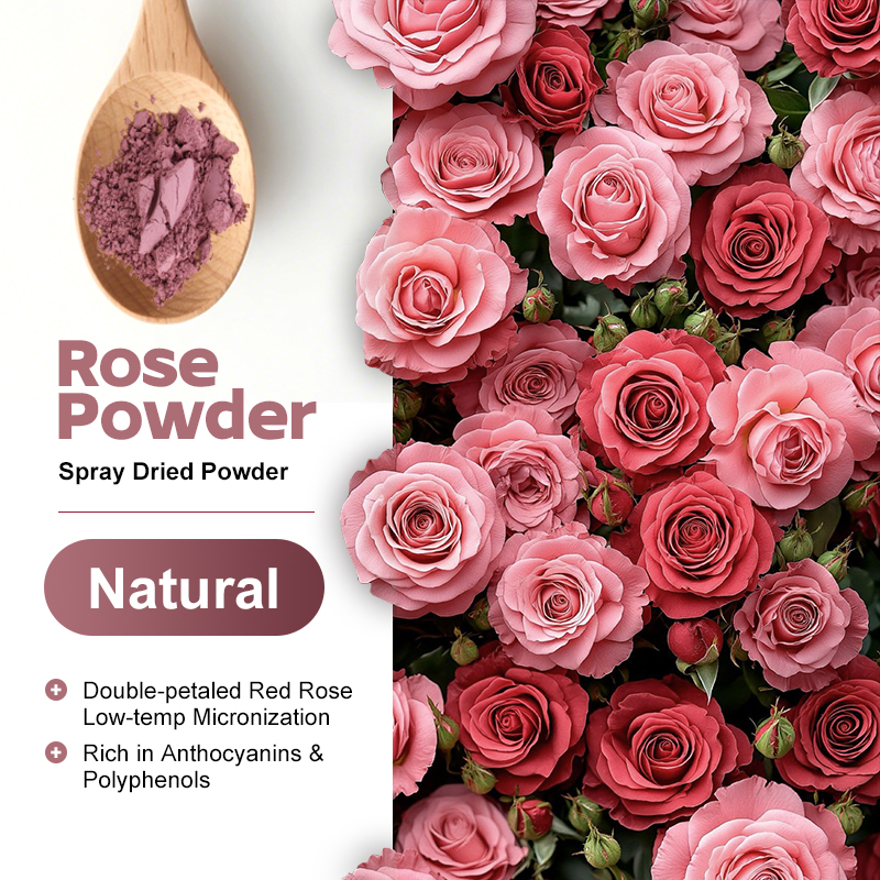 AMULYN Premium Food Grade 100% Natural Rose Petal Herbal Extract Powder Concentrated Rose Pollen Powder Vitamin Extraction