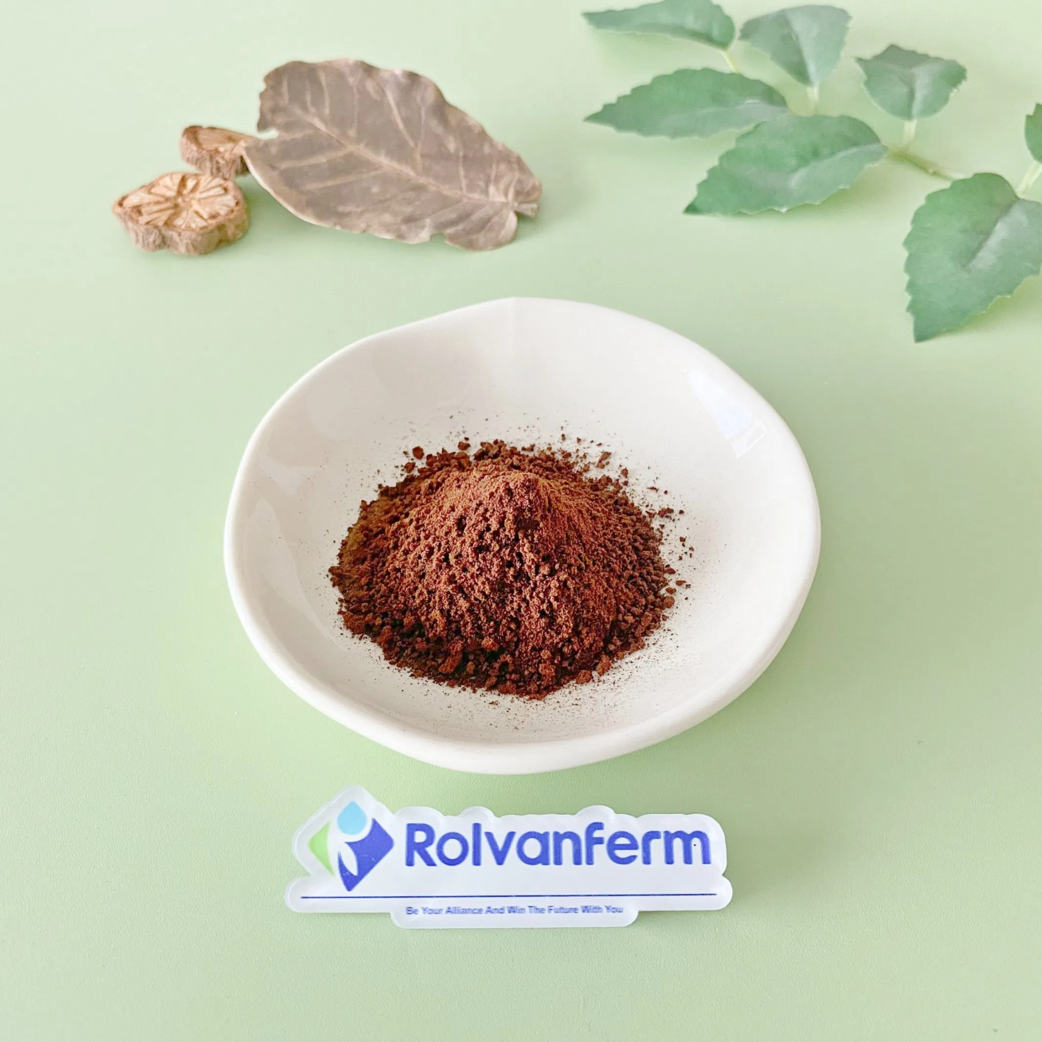 Anoectochilus Roxburghii Extract Golden Thread Orchid / Jin Xian Lian - Standardized Herbal Extract for Liver Health Blood Sugar Support &amp; Premium Supplement