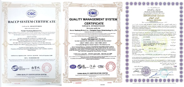 Certification Documents 3