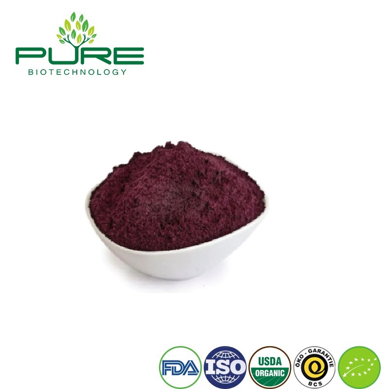 Acai Extract Powder: Organic Plant Extract for Nutraceutical Applications