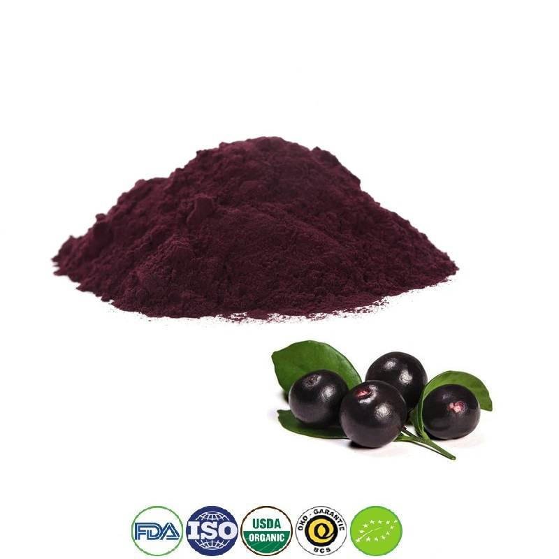 Acai Extract Powder: Organic Plant Extract for Nutraceutical Applications