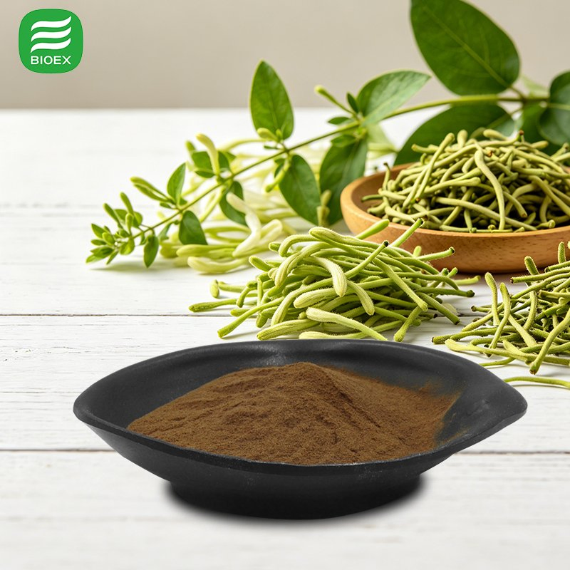 Honeysuckle Flower Extract Powder Standardized 5%-25% Chlorogenic Acid for Dietary Supplement with Free Sample