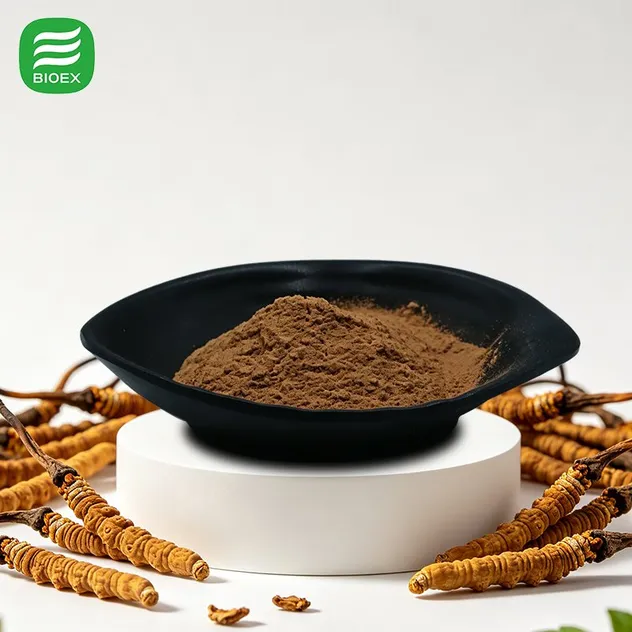 Cordyceps Extract Product Form