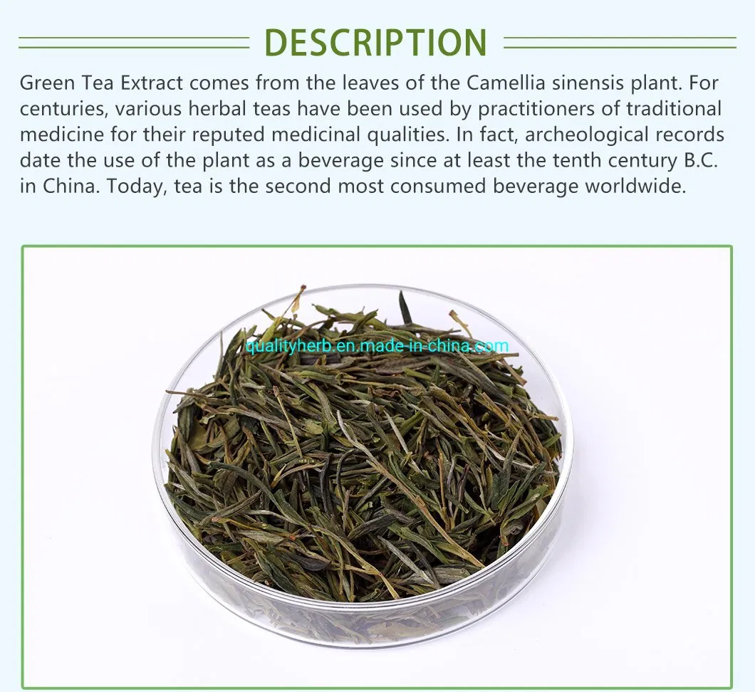 Natural Food Grade Tea Polyphenols EGCG Green Tea Extract Herbal Plant