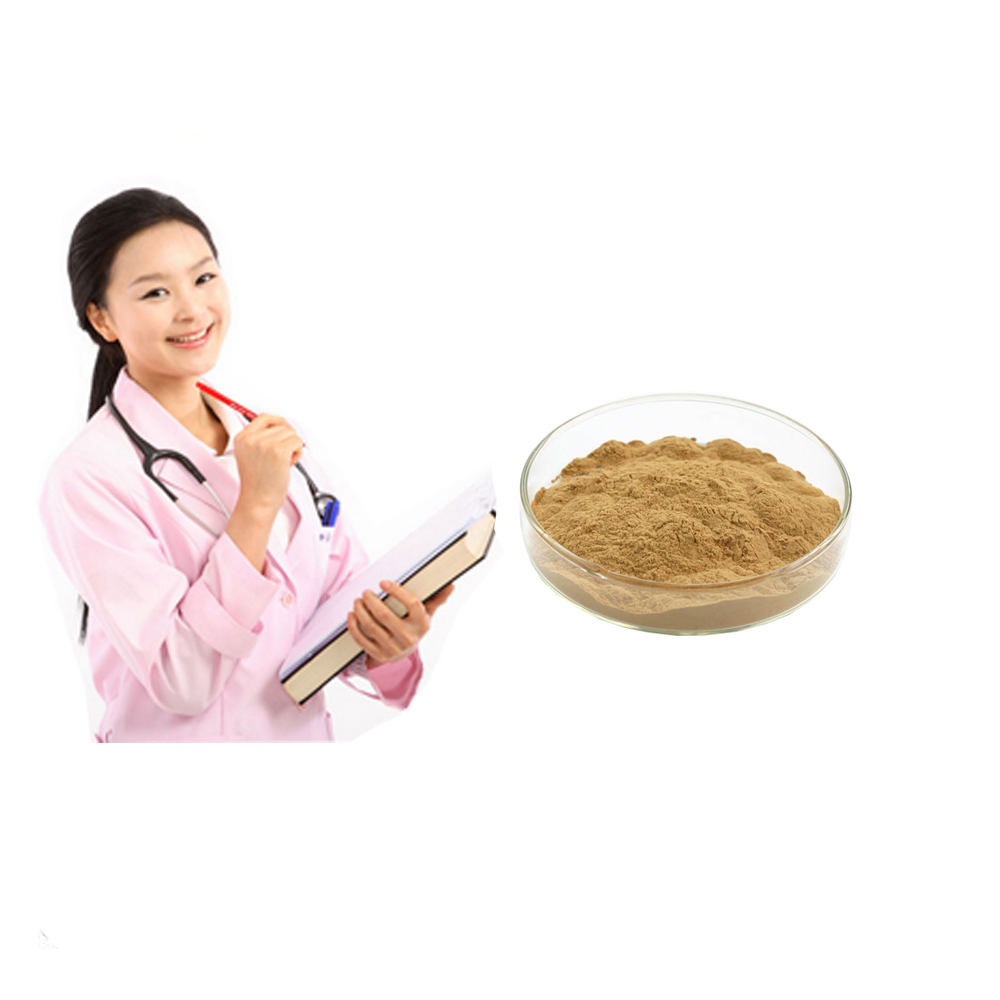 100% Damiana Leaf Extract Powder Aphrodisiaca Extract 10:1