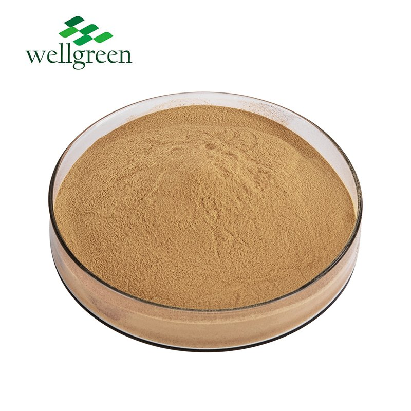 Standardized 30% Beta Glucan Shiitake Mushroom Extract Powder for Immune &amp; General Health Support