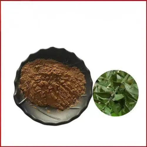 Butcher's broom Extract skincare application