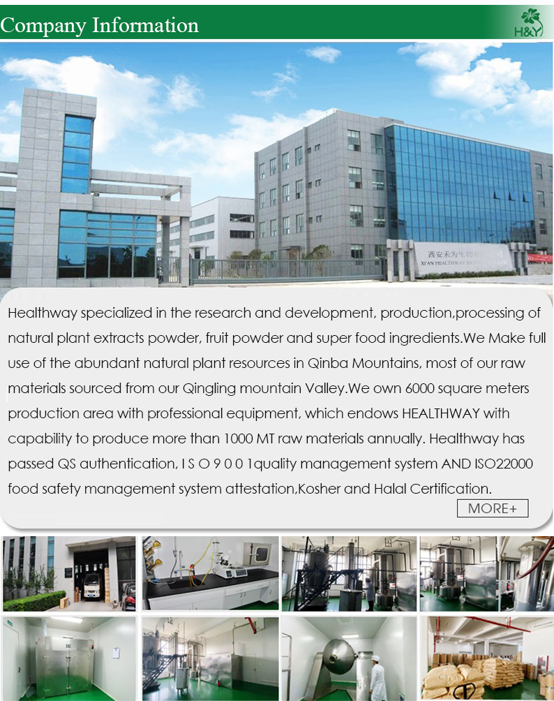 Office and Facility