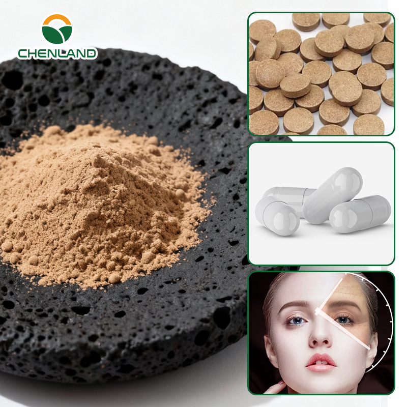 Organic Herbal Extract Patent Formula JadeAging Ginseng Root Powder Food Grade Natural Ginsenosides Active Ingredient Saponins