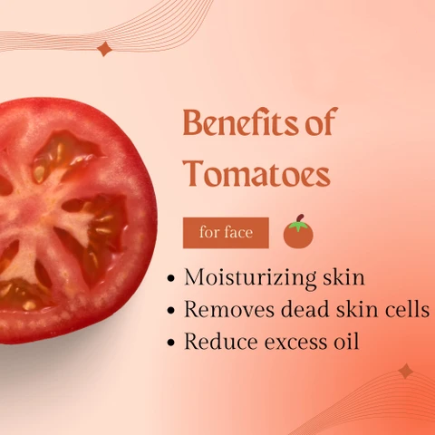 Supply Tomato Extract Dried Tomato Powder Bulk Price Factory Wholesale Food Grade Vegetable Tomato Flavour Juice Powder
