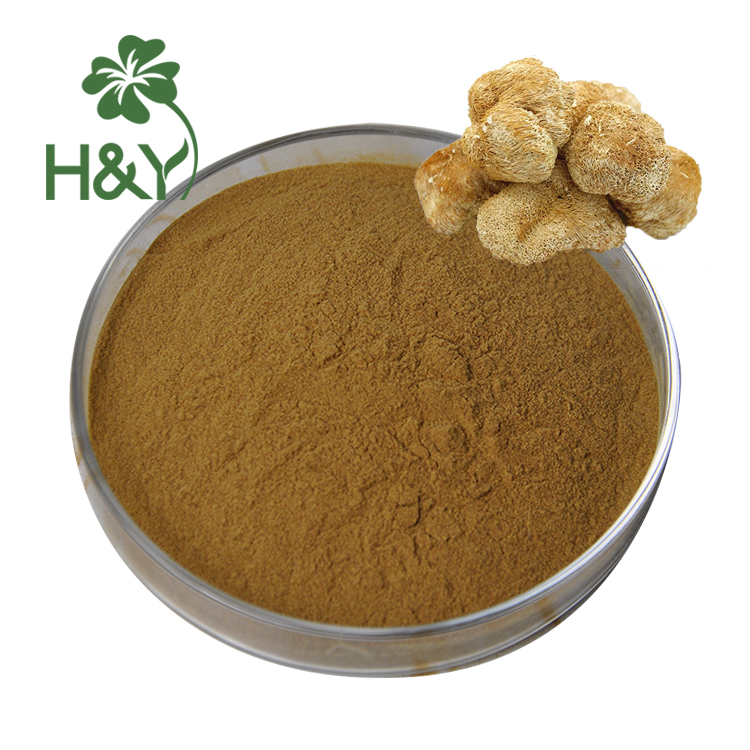 Lions Mane Product
