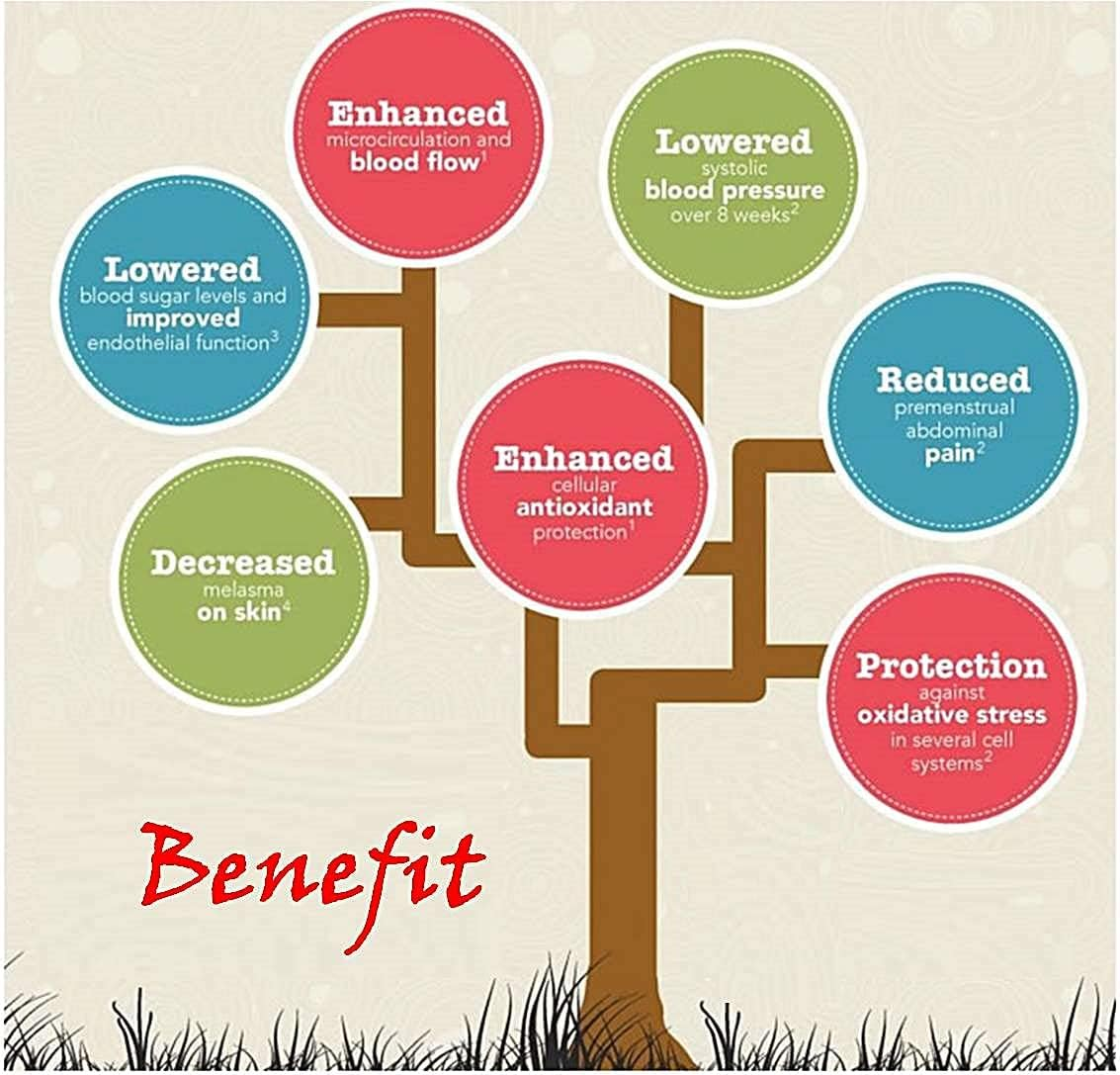 Pine Bark Extract Detail Image 4