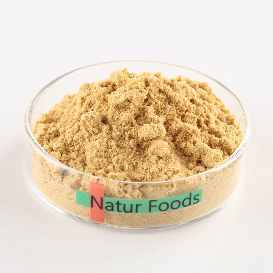 Factory Direct Bulk Plant Extract Natural Gingerol Ginger Root Extract Powder