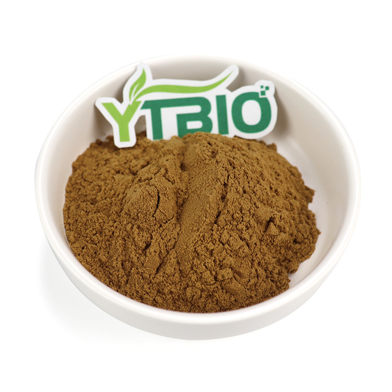 Herbal Extract Dong Quai Extract Powder Angelica Root Extract