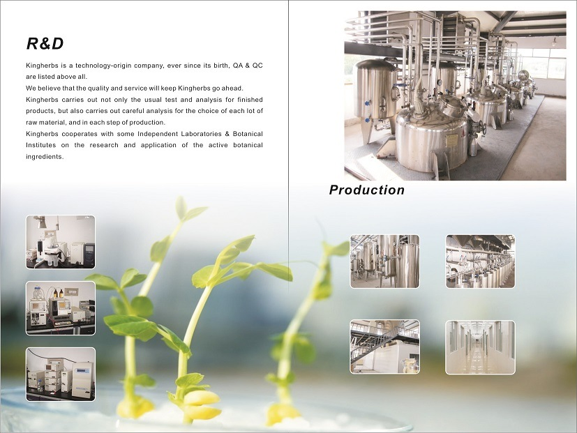 Natural Pyrethrum Extract 48~52% Pyrethrins
