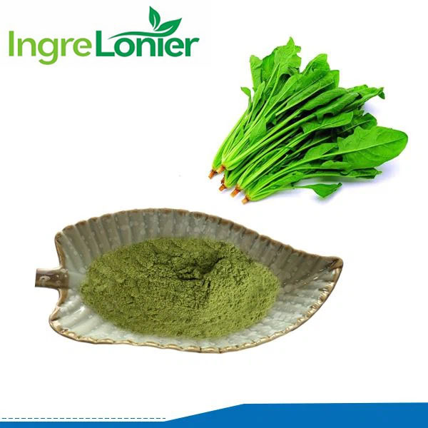 Manufacturers Supply Natural Freeze Dried Vegetable Ecdysterone Spinach Extract Powder Spinach Juice Powder in Food Grade