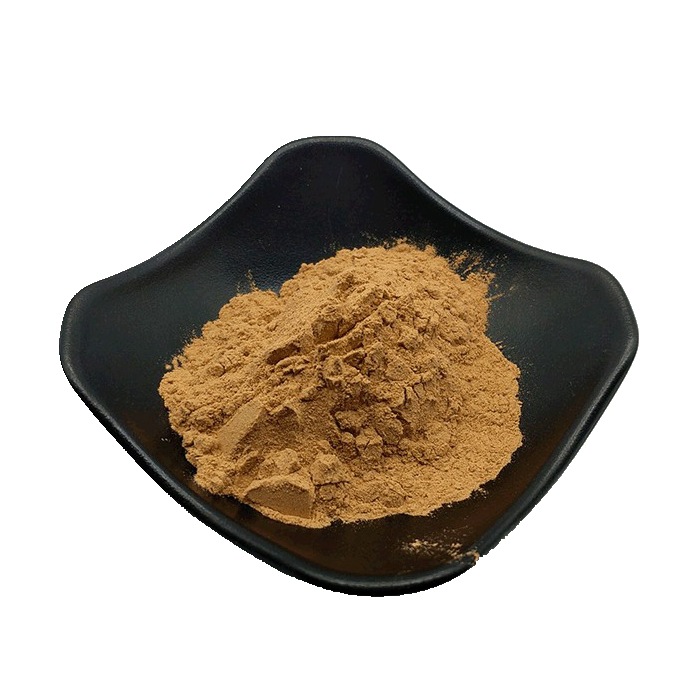 Wild Lotus Leaf Extract Water-Soluble Powder with Nuciferine 1-kilogram Bag From Xi'an