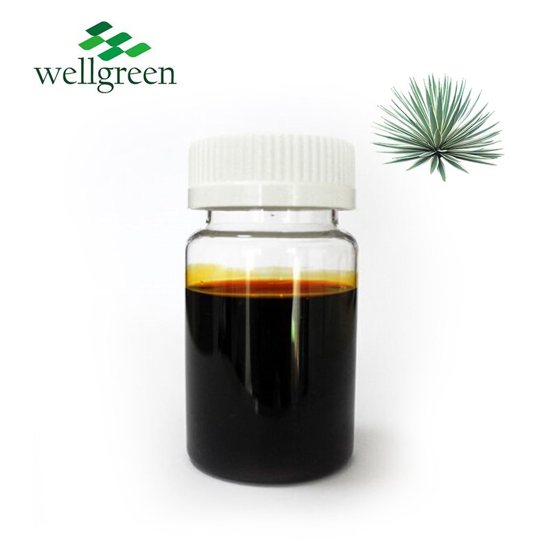 Original Herbal Extract Hot Selling Feed Addictive Yucca Schidigera Extract Liquid
