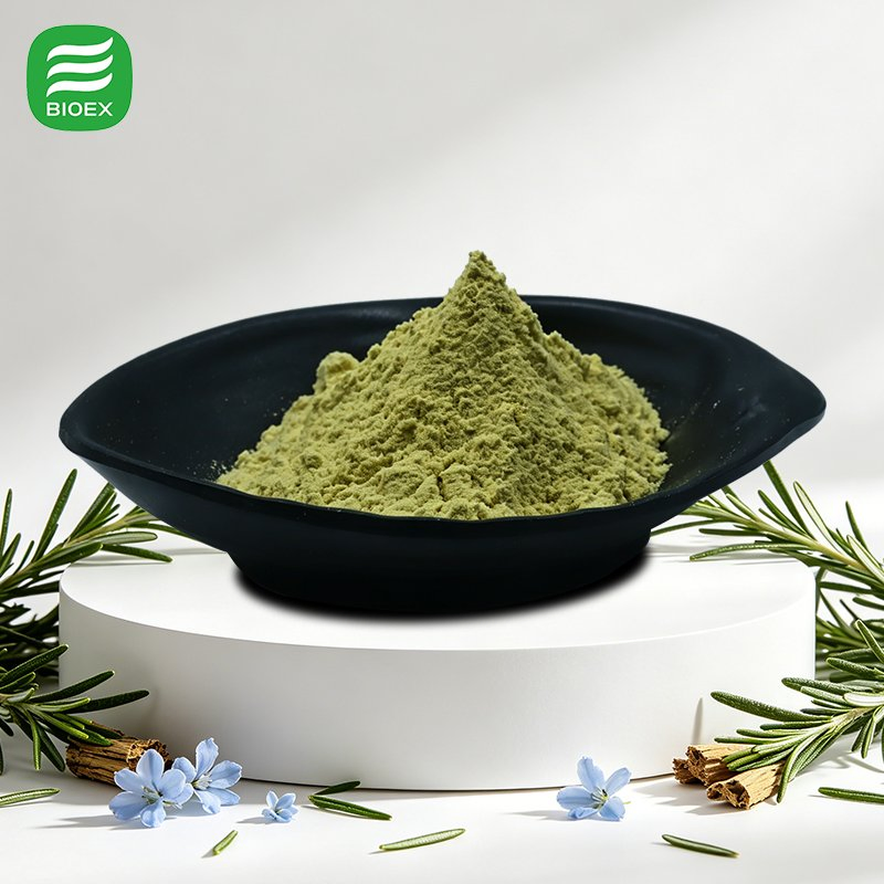 High Quality Standardized Carnosic Acid 5% 10% 20% for Cosmetics and Food Rosemary Extract