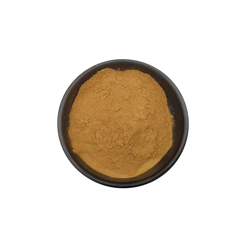 Moringa Leaf Extract Powder