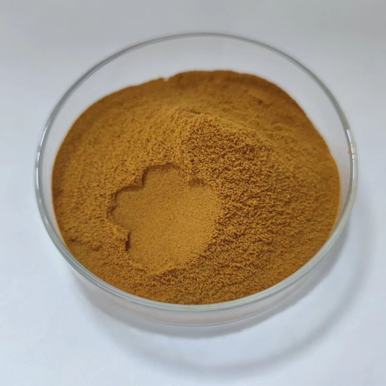 Honeysuckle Flower Extract Powder 25% Chlorogenic Acid Honeysuckle Extract