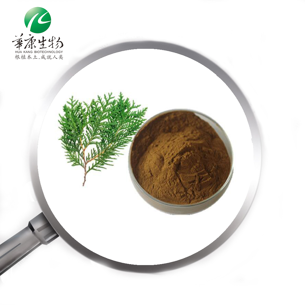 Hunan Huakang Natural Plant Hair Growth Active Ingredient Platycladus Orientalis Leaf Extract Powder
