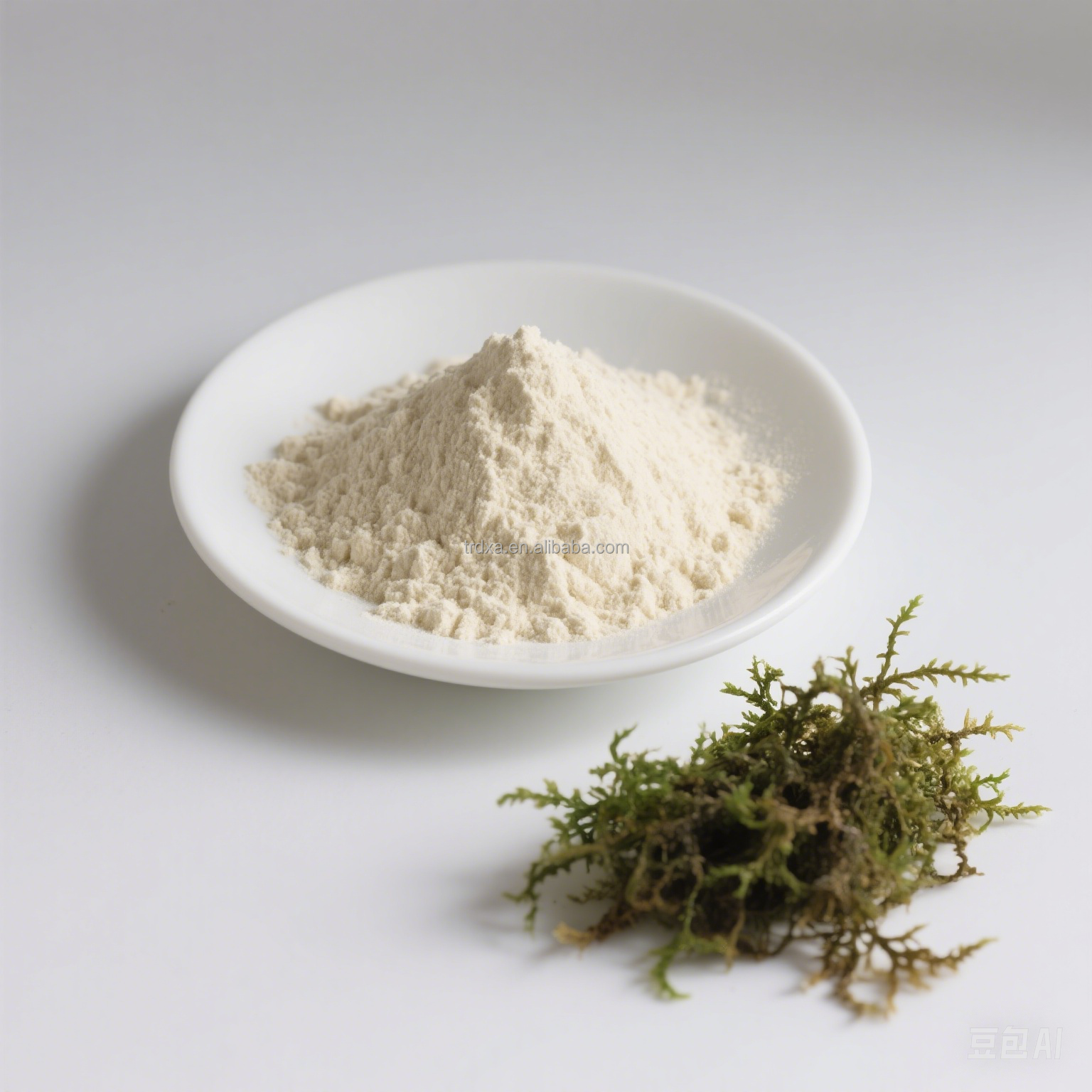 High Quality Irish Sea Moss Organic Raw Powder Herbal Extract with Polyphenols Food Grade Approved in Bottle &amp; Drum Packaging