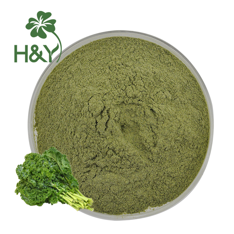 Kale Leaf Extract Kale Powder Food Grade Vegetable 99% Kale Powder
