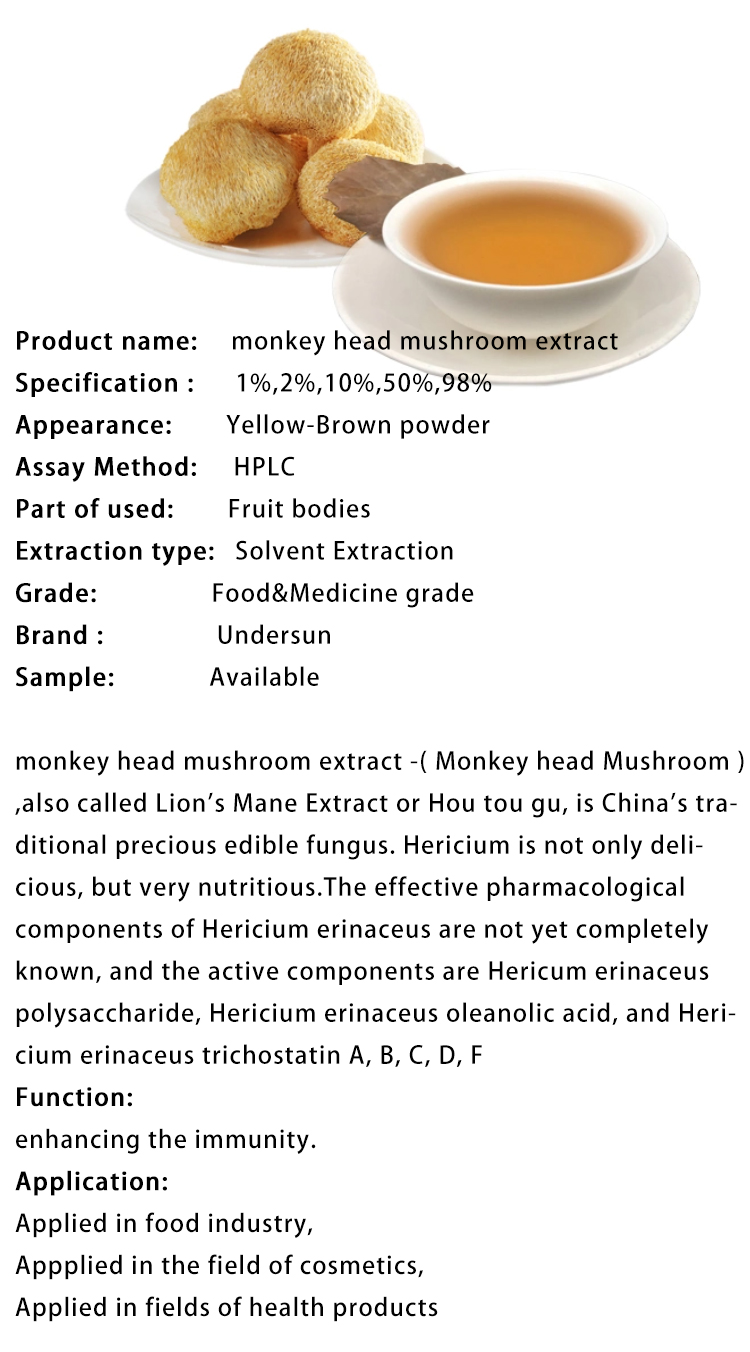 Lion's Mane Mushroom 2