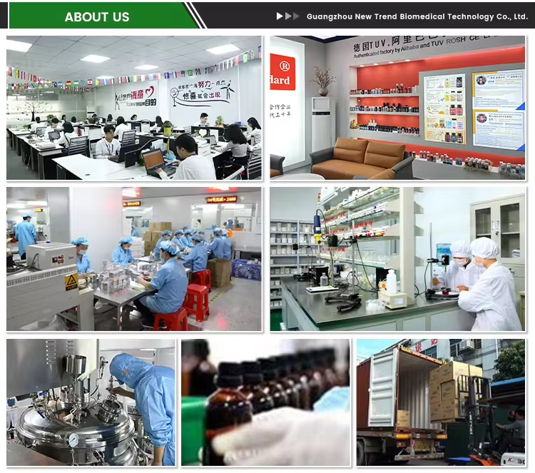 Factory Facility