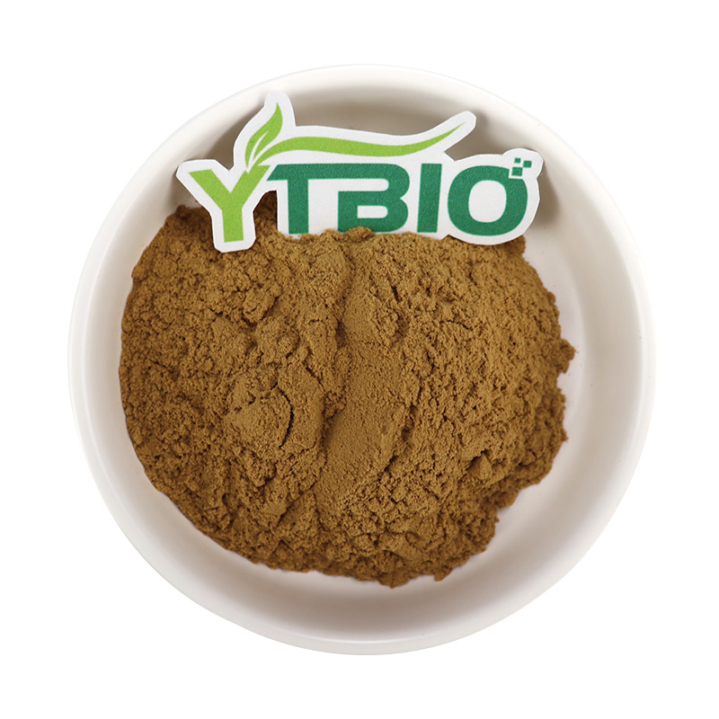 Herbal Extract Dong Quai Extract Powder Angelica Root Extract