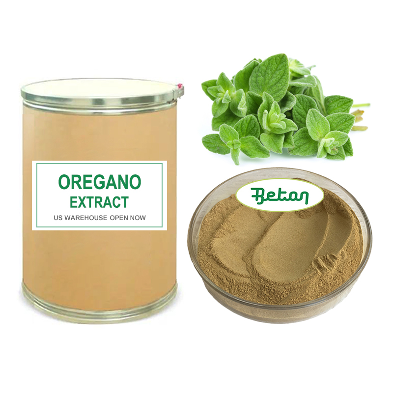Oregano Powder Detail 3