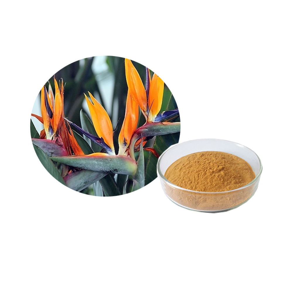 Natural Solanum Wendlandii Extract Potato Vine Fruit &amp; Seed Extract Powder 10:1-20:1