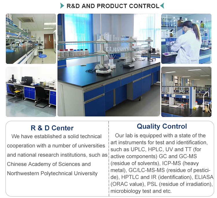 R&D Laboratory