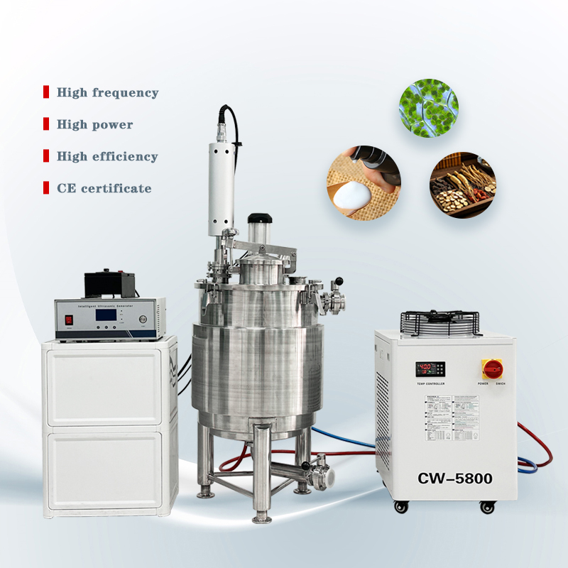 Multifunctional Usage Large Power Ultrasonic Mushroom Extraction Equipment With Mixing Tank And Temperature Control System