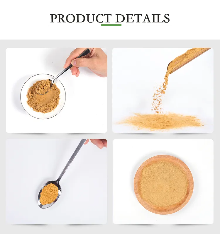 Hot Sale Liquid-Solid Extraction Food Grade Herbal Extract Brown-Yellow Lions Mane Extract