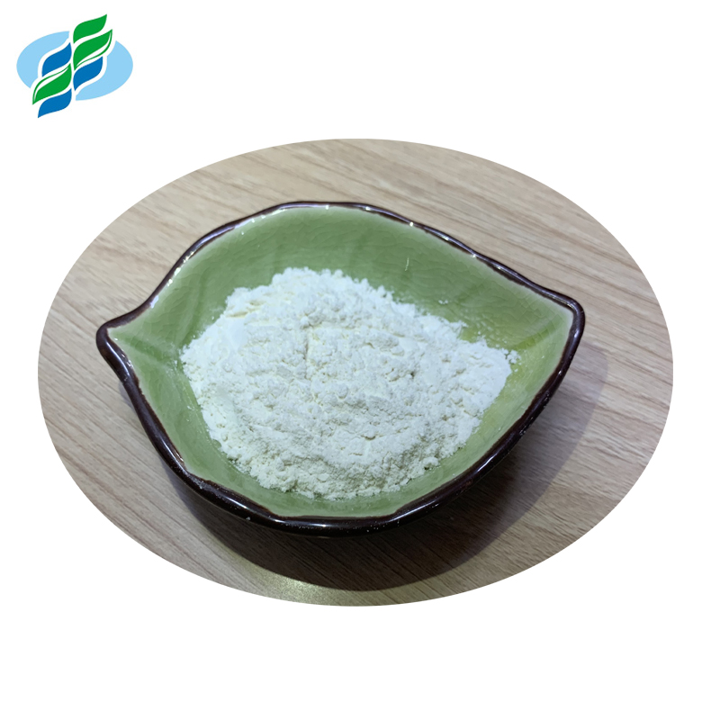 High Purity Nuciferine Lotus Leaf Extract for Weight Loss Nuciferine 98%