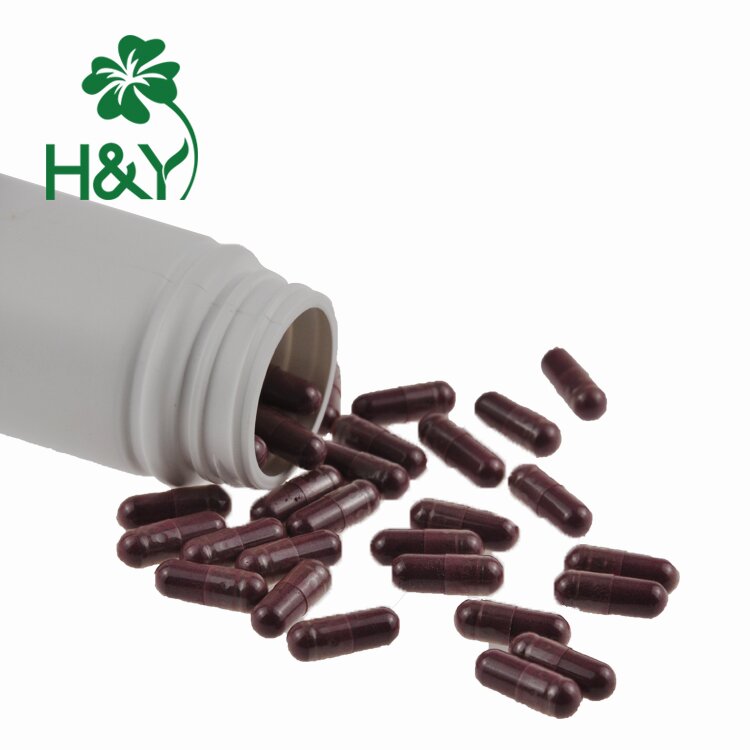 Grape Seed Extract Processing
