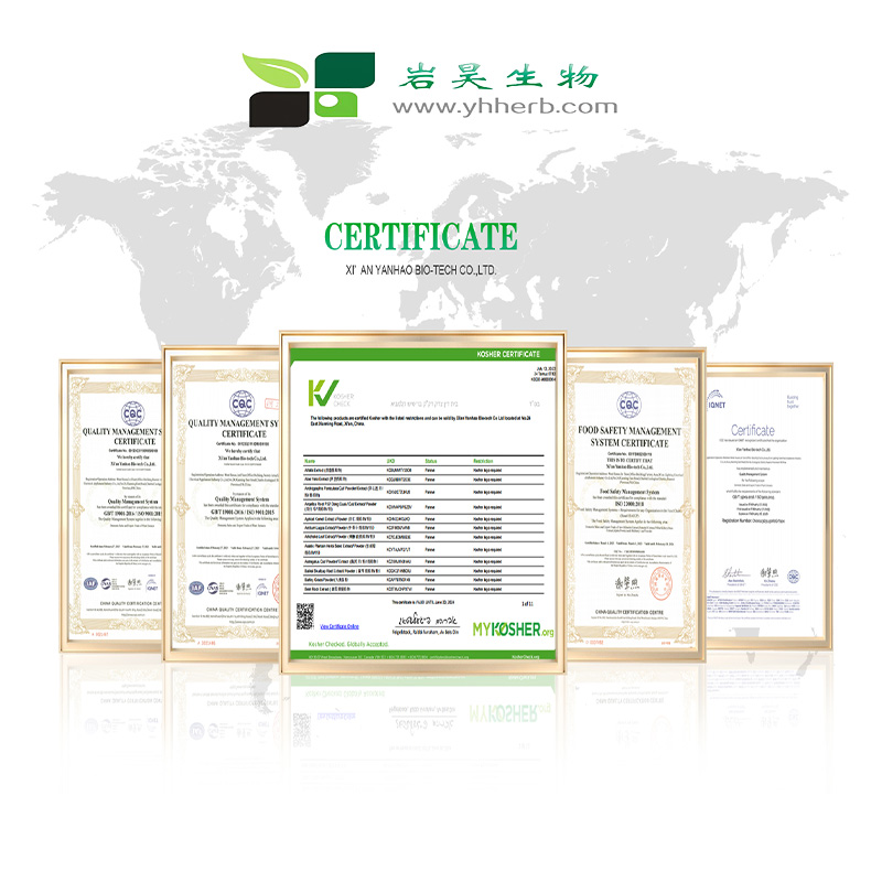 Organic Stevia Extract Rebaudioside M 95% Powder RA RM RD Stevia Extract Rebaudioside